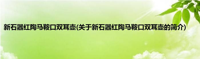 新石器红陶马鞍口双耳壶(关于新石器红陶马鞍口双耳壶的简介)