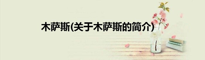 木萨斯(关于木萨斯的简介)