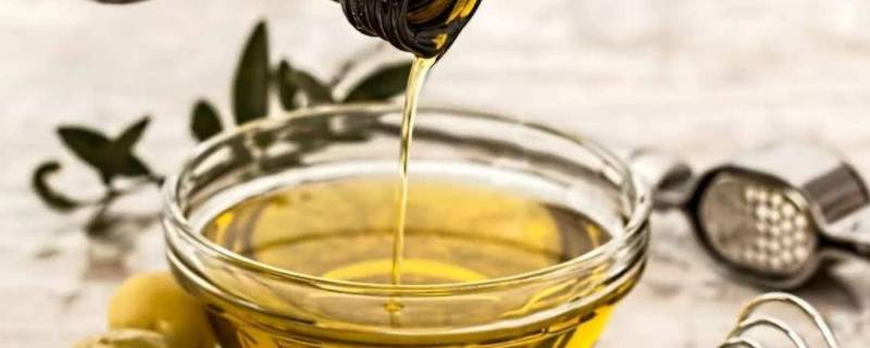 食用植物油主要营养成分是什么