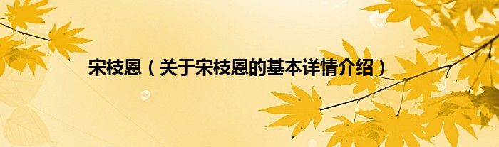 宋枝恩（关于宋枝恩的基本详情介绍）