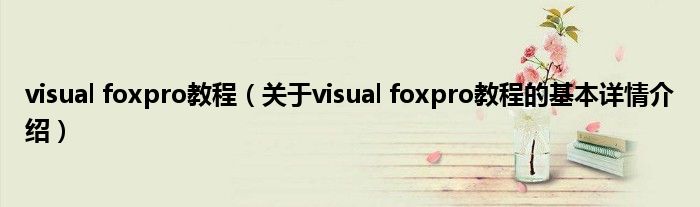 visual foxpro教程（关于visual foxpro教程的基本详情介绍）