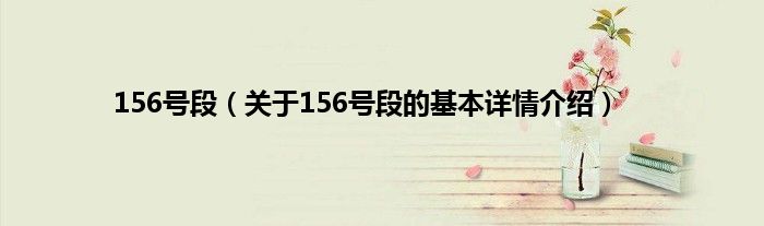 156号段（关于156号段的基本详情介绍）