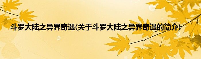 斗罗大陆之异界奇遇(关于斗罗大陆之异界奇遇的简介)