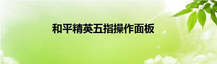 和平精英五指操作面板