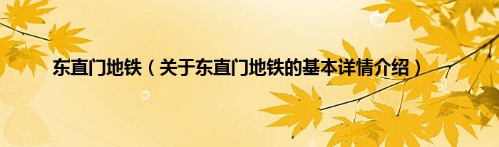 东直门地铁（关于东直门地铁的基本详情介绍）