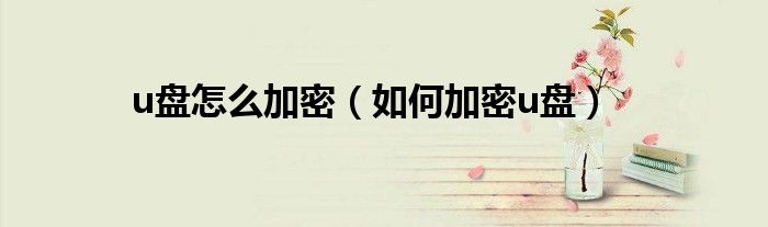 u盘怎么加密（如何加密u盘）