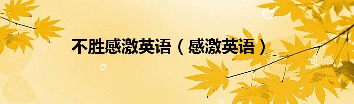 不胜感激英语（感激英语）