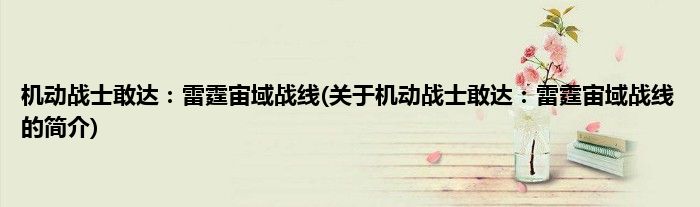 机动战士敢达：雷霆宙域战线(关于机动战士敢达：雷霆宙域战线的简介)