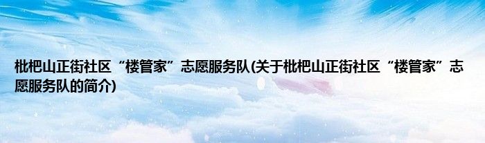 枇杷山正街社区“楼管家”志愿服务队(关于枇杷山正街社区“楼管家”志愿服务队的简介)