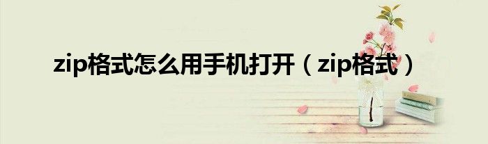 zip格式怎么用手机打开（zip格式）