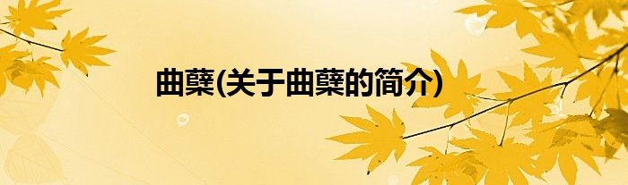 曲蘖(关于曲蘖的简介)