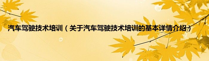汽车驾驶技术培训（关于汽车驾驶技术培训的基本详情介绍）