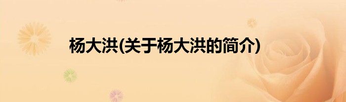 杨大洪(关于杨大洪的简介)