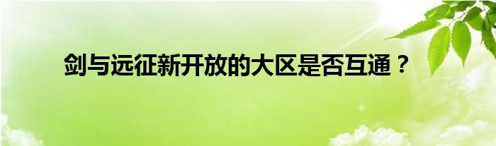 剑与远征新开放的大区是否互通？