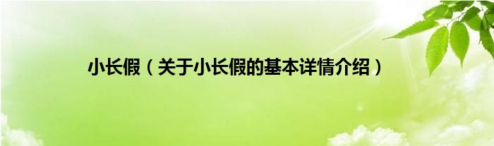 小长假（关于小长假的基本详情介绍）
