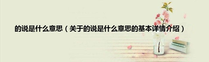 的说是什么意思（关于的说是什么意思的基本详情介绍）