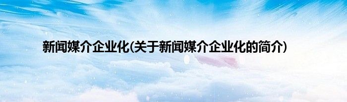 新闻媒介企业化(关于新闻媒介企业化的简介)