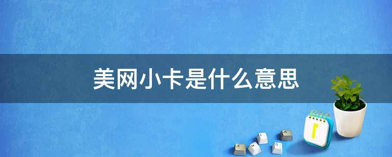 美网小卡是什么意思