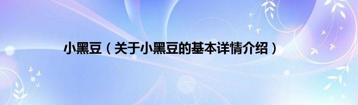 小黑豆（关于小黑豆的基本详情介绍）