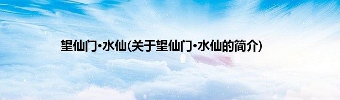 望仙门·水仙(关于望仙门·水仙的简介)