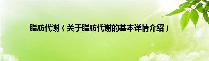 脂肪代谢（关于脂肪代谢的基本详情介绍）
