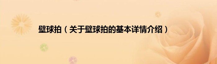 壁球拍（关于壁球拍的基本详情介绍）