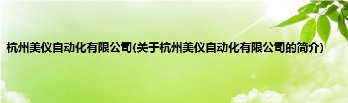 杭州美仪自动化有限公司(关于杭州美仪自动化有限公司的简介)