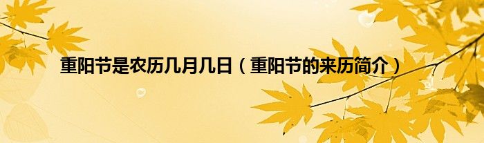 重阳节是农历几月几日（重阳节的来历简介）