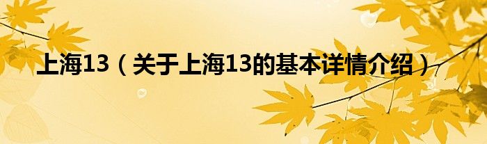 上海13（关于上海13的基本详情介绍）
