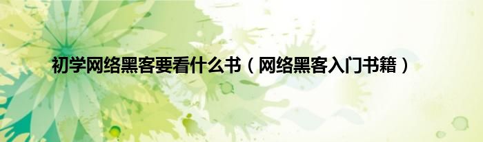 初学网络黑客要看什么书（网络黑客入门书籍）