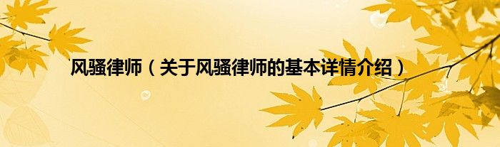 风骚律师（关于风骚律师的基本详情介绍）