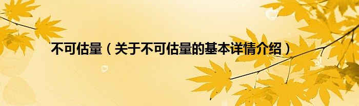 不可估量（关于不可估量的基本详情介绍）