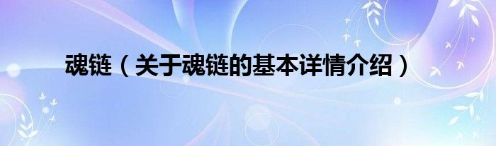 魂链（关于魂链的基本详情介绍）