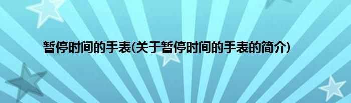 暂停时间的手表(关于暂停时间的手表的简介)