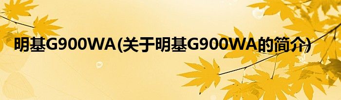 明基G900WA(关于明基G900WA的简介)