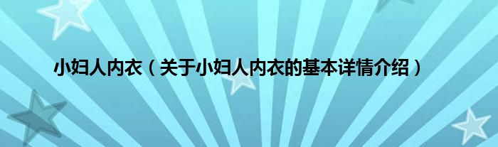 小妇人内衣（关于小妇人内衣的基本详情介绍）