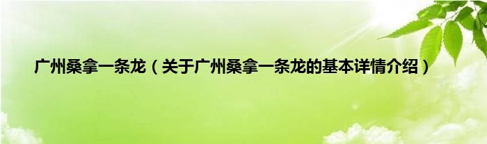 广州桑拿一条龙（关于广州桑拿一条龙的基本详情介绍）
