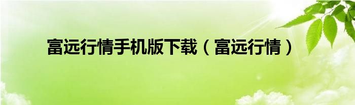 富远行情手机版下载（富远行情）