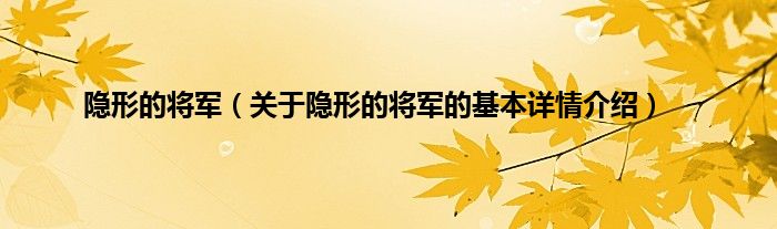 隐形的将军（关于隐形的将军的基本详情介绍）