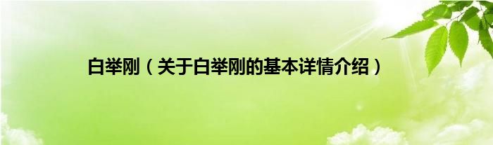 白举刚（关于白举刚的基本详情介绍）
