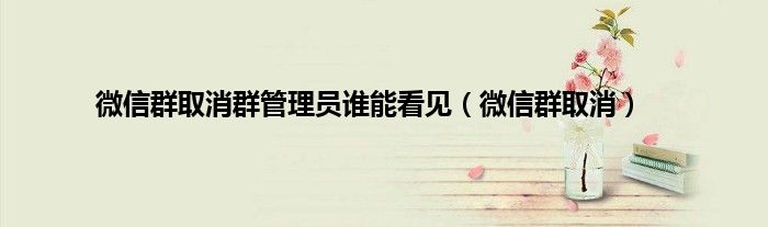 微信群取消群管理员谁能看见（微信群取消）