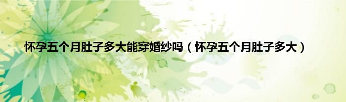 怀孕五个月肚子多大能穿婚纱吗（怀孕五个月肚子多大）