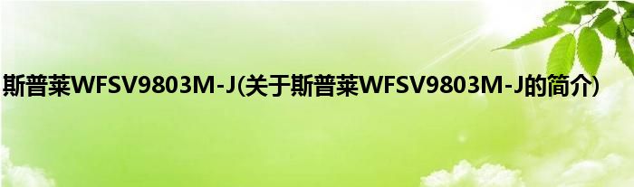 斯普莱WFSV9803M-J(关于斯普莱WFSV9803M-J的简介)