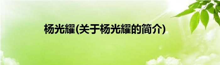 杨光耀(关于杨光耀的简介)