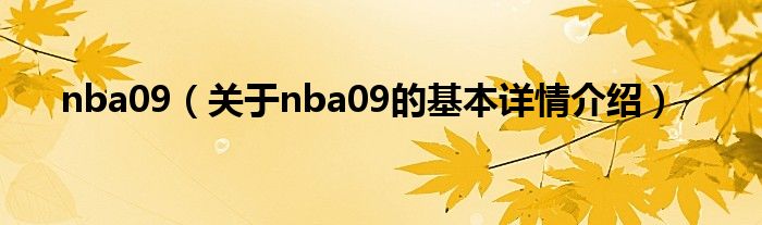 nba09（关于nba09的基本详情介绍）