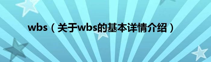 wbs（关于wbs的基本详情介绍）