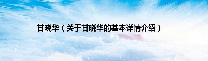 甘晓华（关于甘晓华的基本详情介绍）