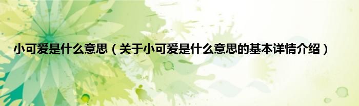 小可爱是什么意思（关于小可爱是什么意思的基本详情介绍）