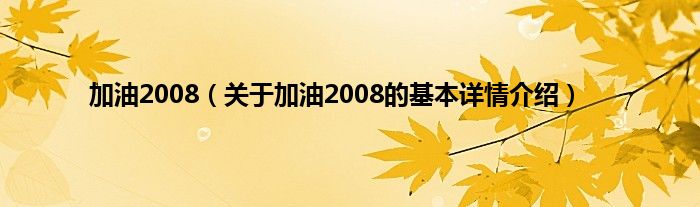加油2008（关于加油2008的基本详情介绍）