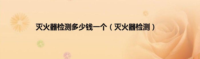 灭火器检测多少钱一个（灭火器检测）
